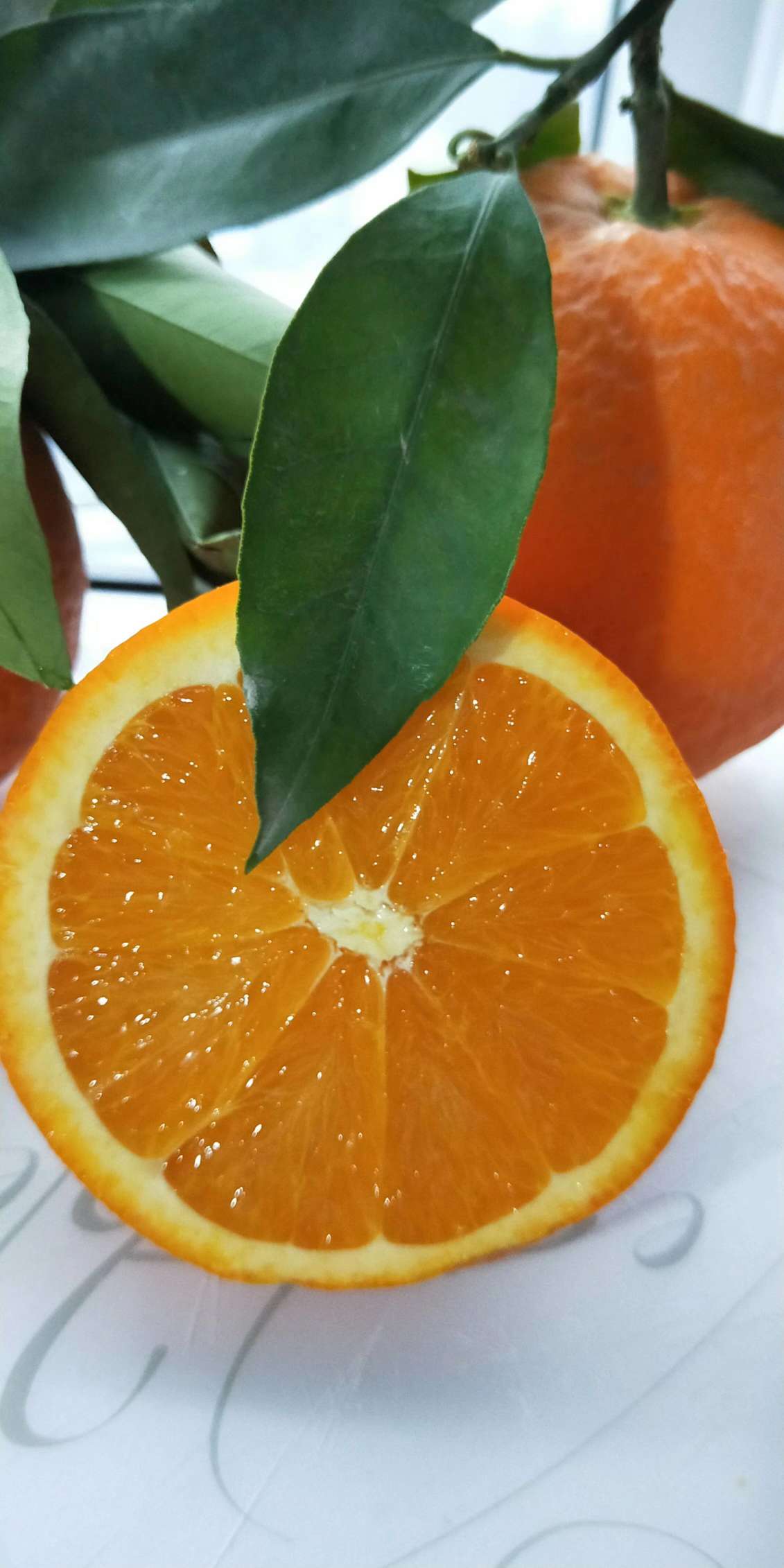 湖北恩施 世界硒都 秭归伦晚热卖