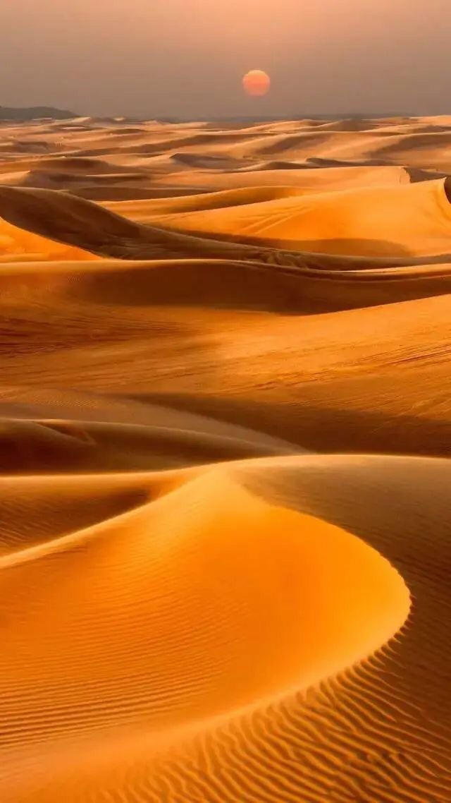 【东南西北】炎热沙漠突然冰雪覆盖,惊呆国人